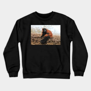 Shucks Crewneck Sweatshirt